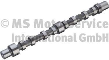 Camshaft 50007031