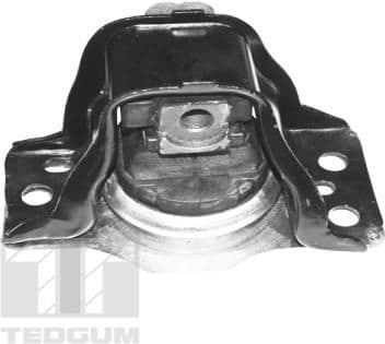 Mounting, engine TED59889
