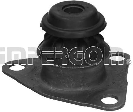 montavimas, neautomatinė transmisija 26861