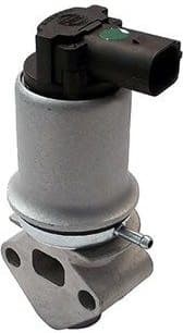 EGR Valve 571822112018