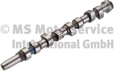 Camshaft 50007029
