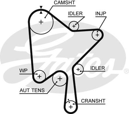 Timing belt kit K015686XS - image 2