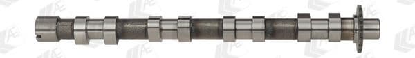 Camshaft CAM748