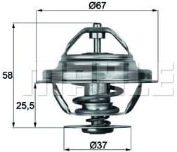 Thermostat, coolant BEHR TX2071D