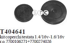 Plug, mounting bore T404641