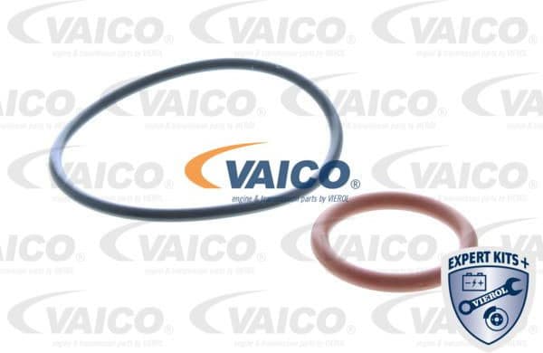 Hydraulic Filter Kit, automatic transmission EXPERT KITS + V480180 - image 2