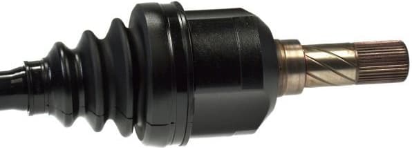 304911 - image 3