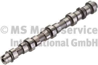 Camshaft 50007104