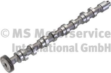 Camshaft 50007022