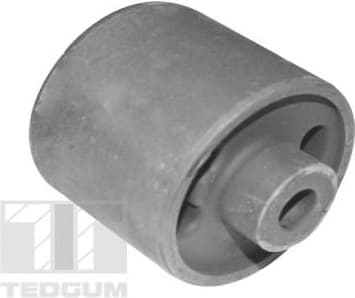Mounting, control/trailing arm TED53751