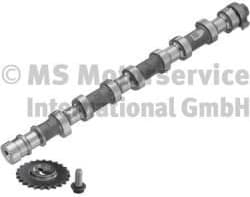 Camshaft 50007691