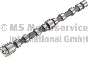 Camshaft 50007048