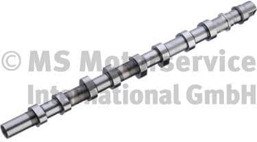 Camshaft 50007118