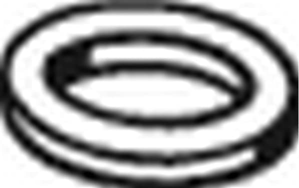 Gasket, exhaust pipe 256-061