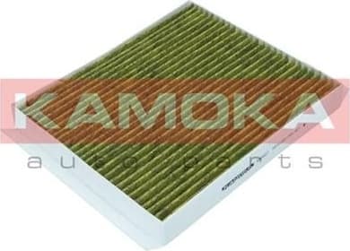 Filter, cabin air 6080027