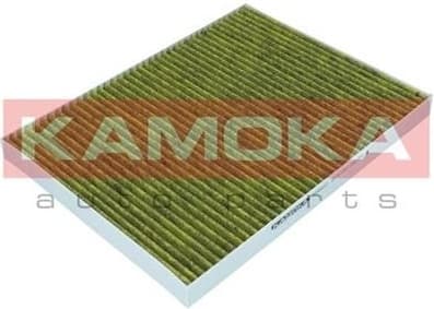 Filter, cabin air 6080037