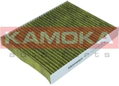 Filter, cabin air 6080014