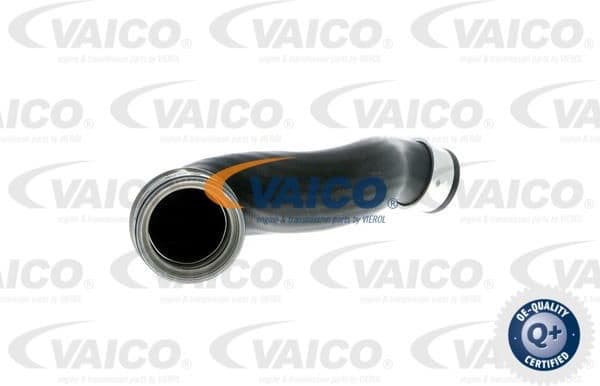 Charge Air Hose Q+, original equipment manufacturer quality V102697