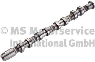 Camshaft 50007587