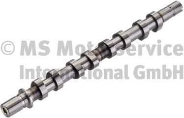 Camshaft 50006316
