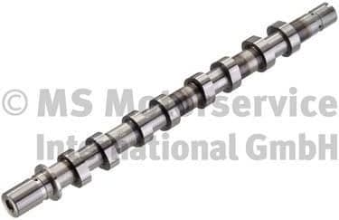 Camshaft 50006315