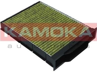 Filter, cabin air 6080023