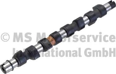 Camshaft 50007038