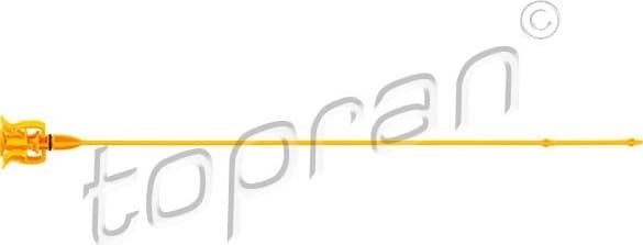 Oil Dipstick 208 550