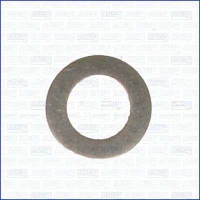 Seal Ring, oil drain plug 22005800