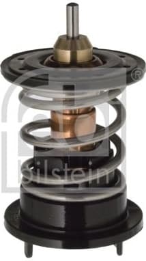 Thermostat, coolant 106284