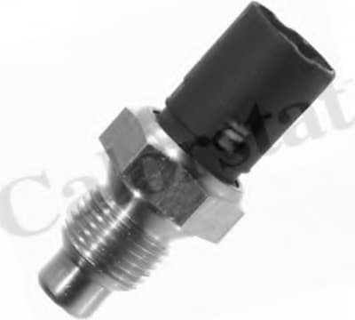 Sensor water temperature WS2508