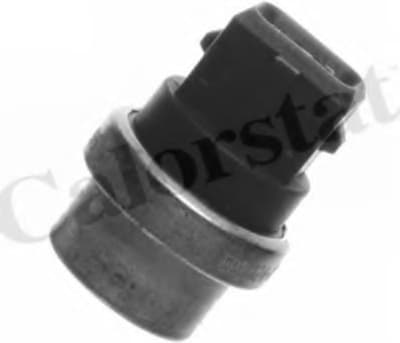 Sensor water temperature WS2577