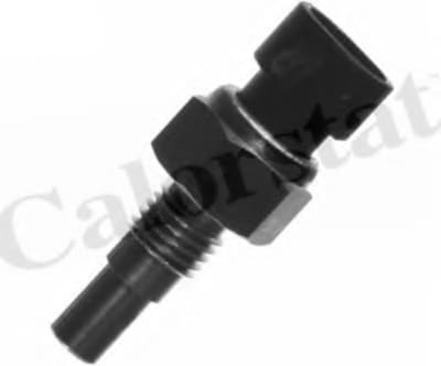 Sensor water temperature WS2586