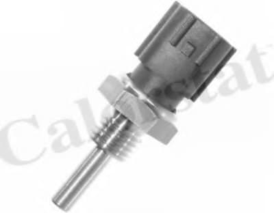 Sensor water temperature WS3001