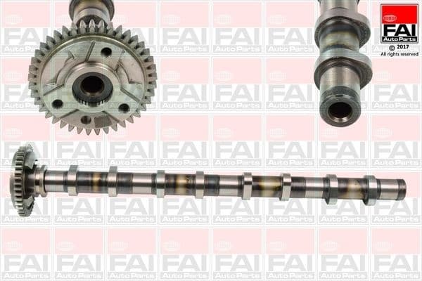 Camshaft C381