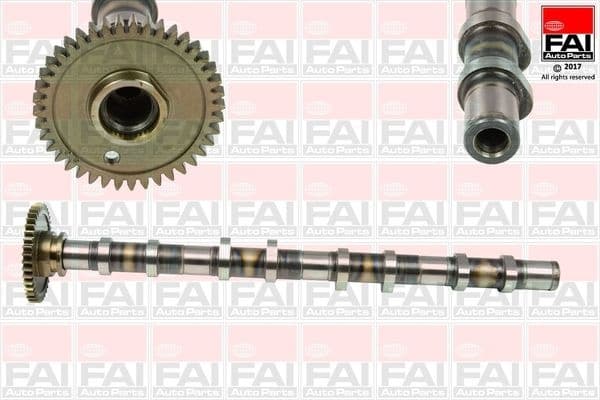 Camshaft C382