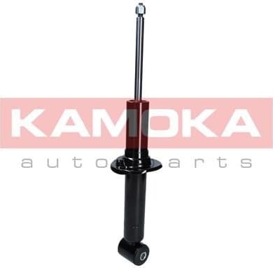 Shock Absorber 2000962