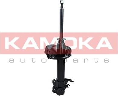 Shock absorber front 2000307