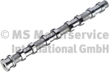 Camshaft 50007671