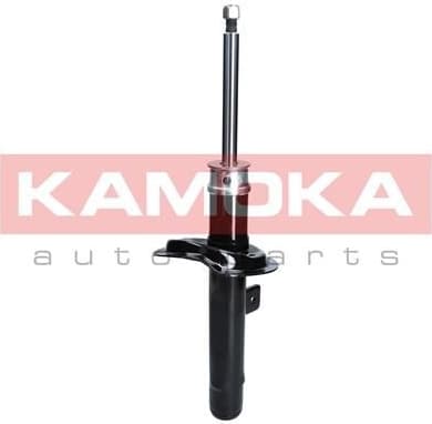 Shock Absorber 2000212