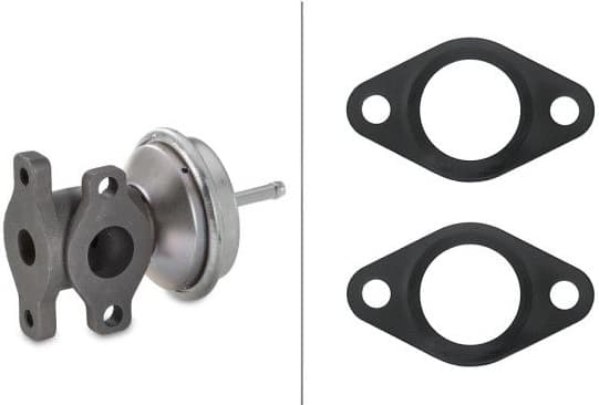 EGR Valve 6NU 010 171-411