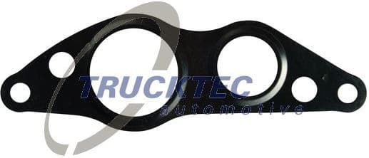 Gasket, EGR valve 02.16.075