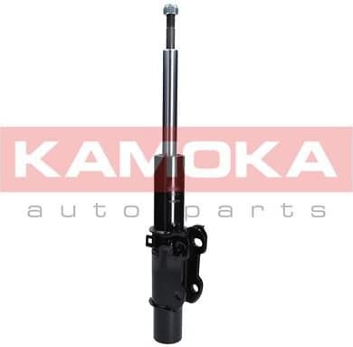 Shock absorber front 2000109