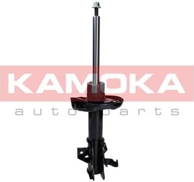Shock absorber front 2000057