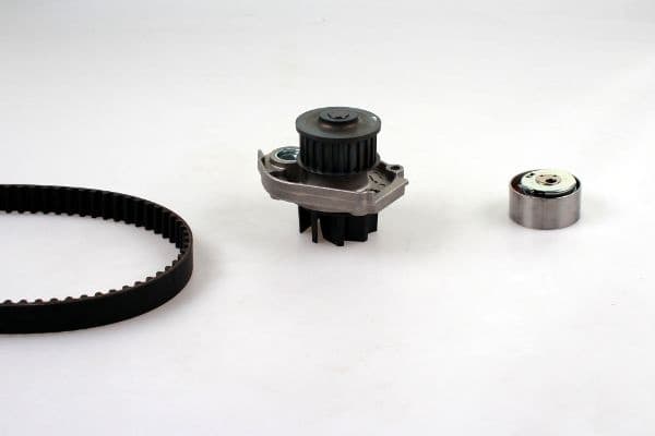 Water Pump & Timing Belt Kit PK12011