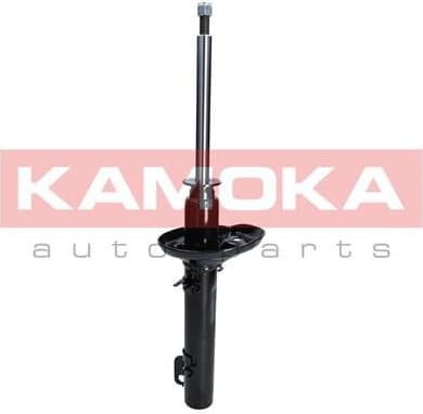 Shock Absorber 2000222