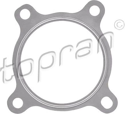 Gasket, exhaust pipe 115 076