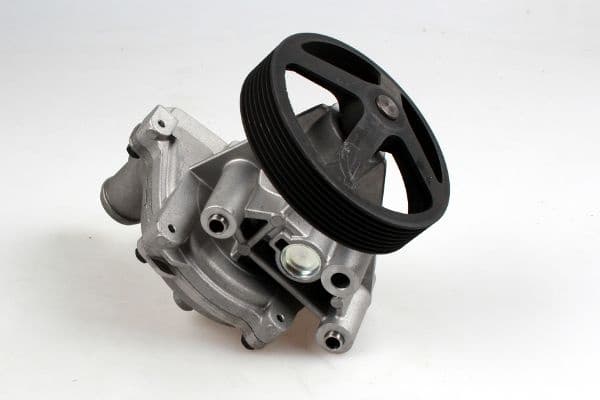 Water Pump, engine cooling P262