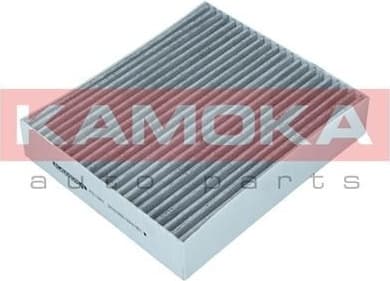 Filter, cabin air F511601