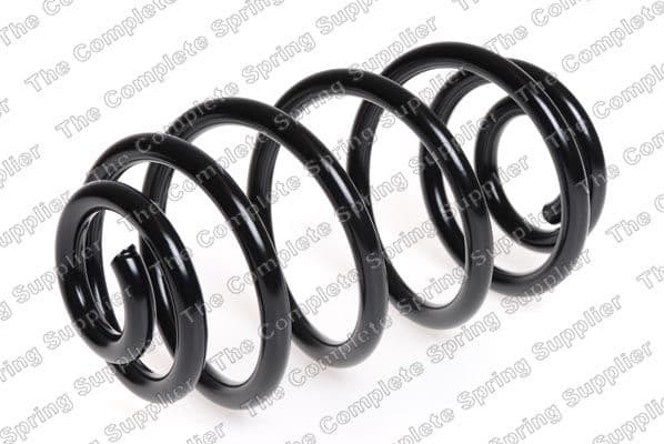 Suspension Spring 63019